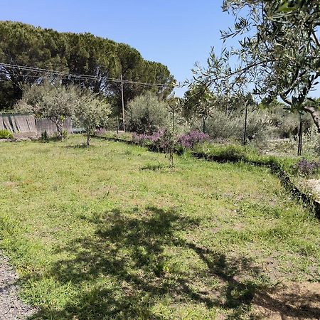 Villa Egle Belpasso, Villa Vacanza Con Piscina Exterior photo
