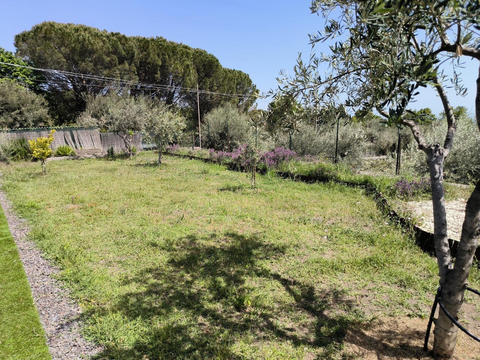 Villa Egle Belpasso, Villa Vacanza Con Piscina Exterior photo